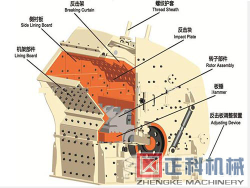 反击小蝌蚪视频免费观看网站