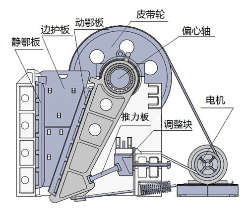 颚式小蝌蚪视频免费观看网站结构