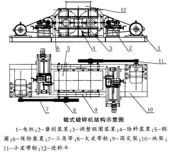 辊式小蝌蚪视频免费观看网站结构示意图
