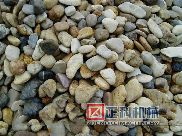 河卵石移动式小蝌蚪视频免费观看网站